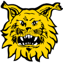 Logo Ilves
