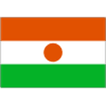 Logo Niger