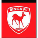 Logo Binga