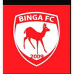Logo Binga