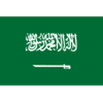 Logo Saudi Arabia