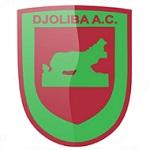 Logo Djoliba